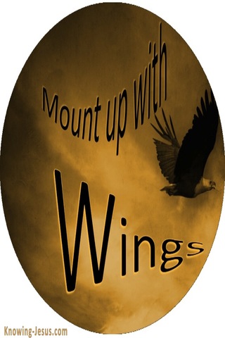 Isaiah 40:31 Mount Up With Wings (devotional)02-02 (black)